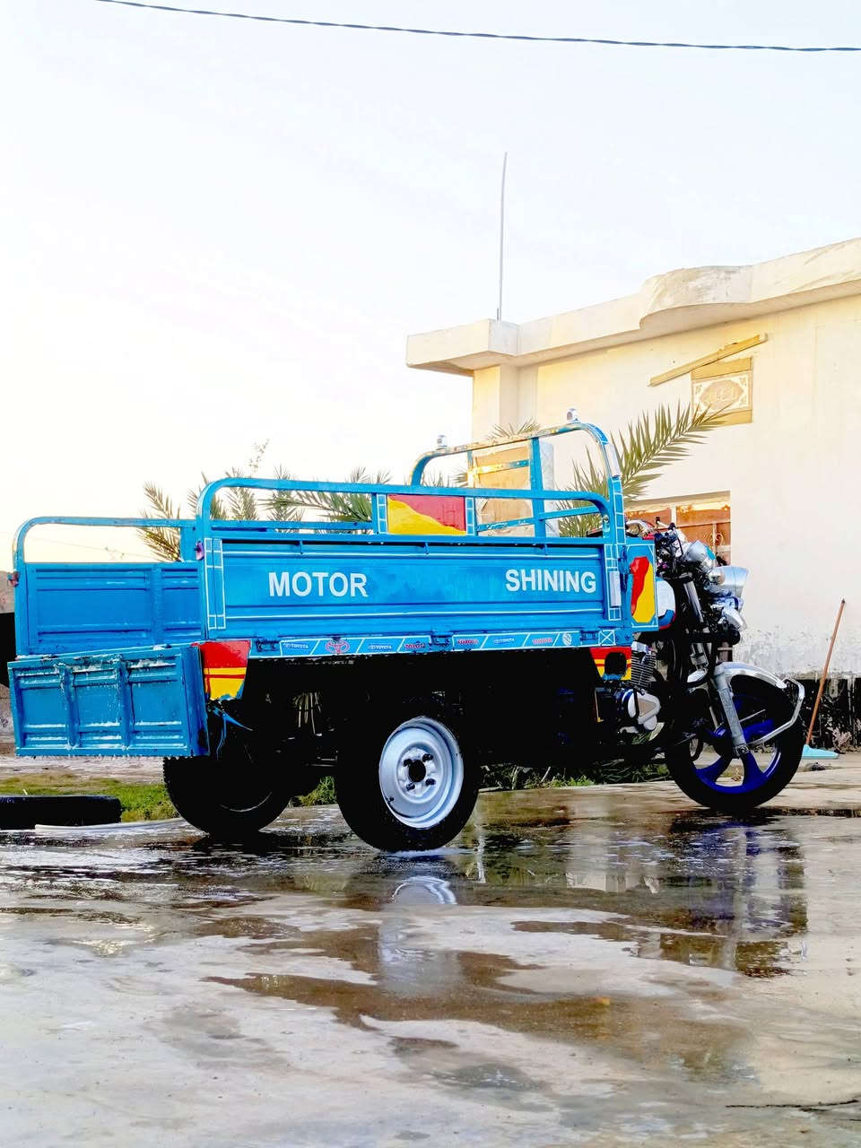 للبيع ‏‪***********‬‏
وراق
