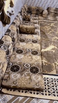 السلام عليكم ديوان نظيف للبيع السعر 225 مكاني ناصريه مركز ***********
