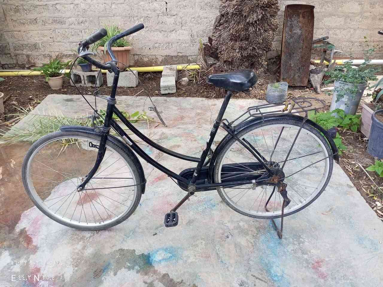 بايسكل ياباني اصلي للبيع Singapore


**إذا كنت صاحب هذا الإعلان وتريد حذفه لأي سبب، رجاءا أرسل رسالة إلى الدعم الفني**