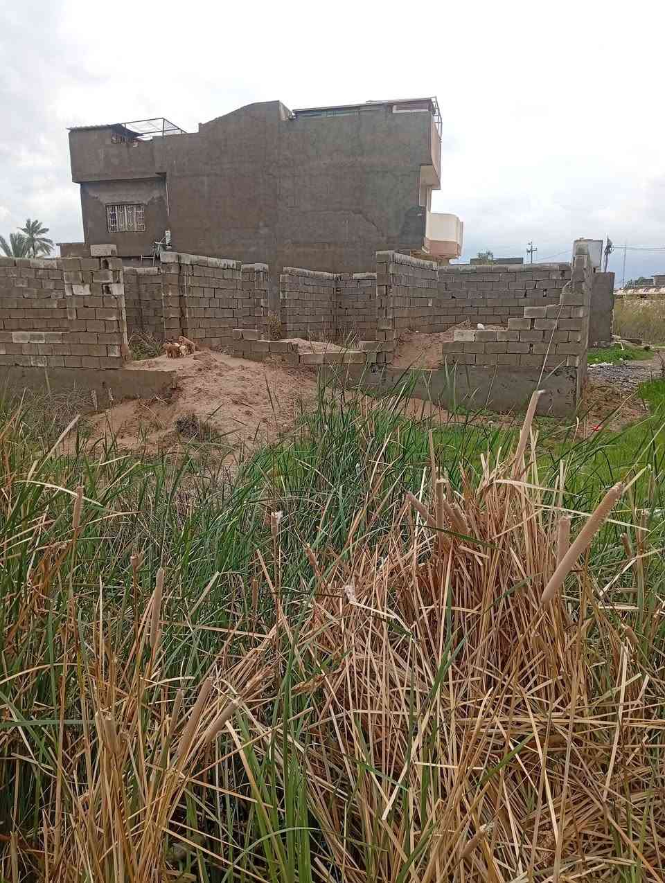 ياالله يتوفر هيكل مع قطعه ارض طابو زراعي سند 25 المساحه 300متر السعر 35مليون وجه على الشارع واصل كهرباء وماء الخالص الشرقيه بالقرب من بيت رعد عزاوي للأستفسار ***********
