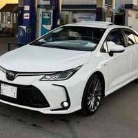 طويريج • نقل جامعات • صالون 4نفر