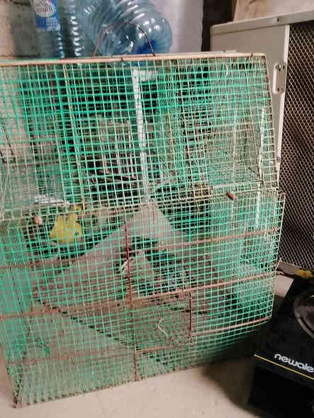 للبيع شلع  قلع كامل سعر 70 بي مجال للطيبين الرقم ***********.    ***********
