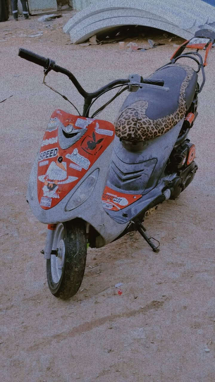 سلام عليكم ماكس منغولي البيع
***********
