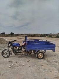 ستوته • دولفين • محرك كارتون