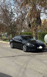 التيما SL • ٢٠٢٣ • اربيل