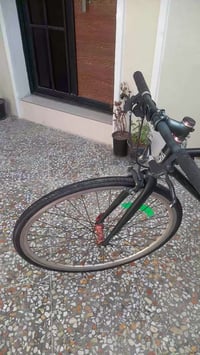 ٠٧٧٢٩٤١٢١٨٥