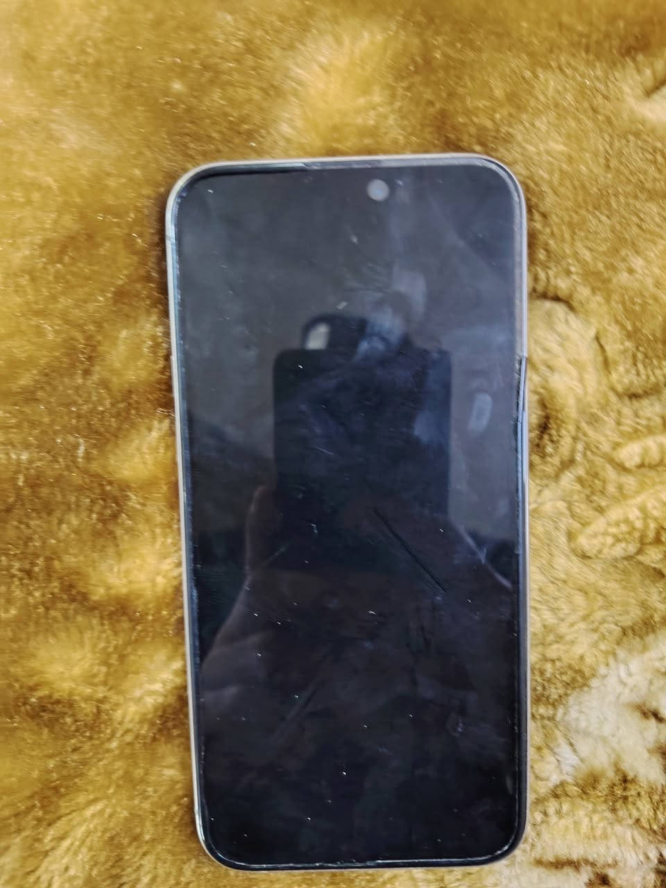 ايفون 15 برو ماكس جديد مال بيت بطارية 86 شرق اوسط مراوس بأيفون 16 برو ماكس وانطي فرق حسب نضافه والاتفاق


**إذا كنت صاحب هذا الإعلان وتريد حذفه لأي سبب، رجاءا أرسل رسالة إلى الدعم الفني**