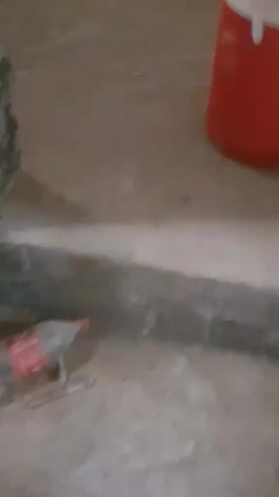 سلام عليكم اخوان حسب ما رايدين صور لبيت أو شقة لبيع  احلى منطقه والسعر بلاش 500-3 ثلاثه مليون وخمسمائه  وبيع مستعجل يريد باس تنظيف لان صار اكثر من خمس سنوات متروكه واتصال *********** والله رحيم كريم ورمضان مبارك علينا وعليكم شهر الخير والبركة
