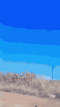 درجة سيفون موديل 2021 الموصفات خير من الله مكينه نظيفه مابيه اي نقوصات...