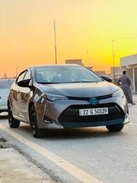 كورلا LE • ٢٠١٩ • رقم اربيل