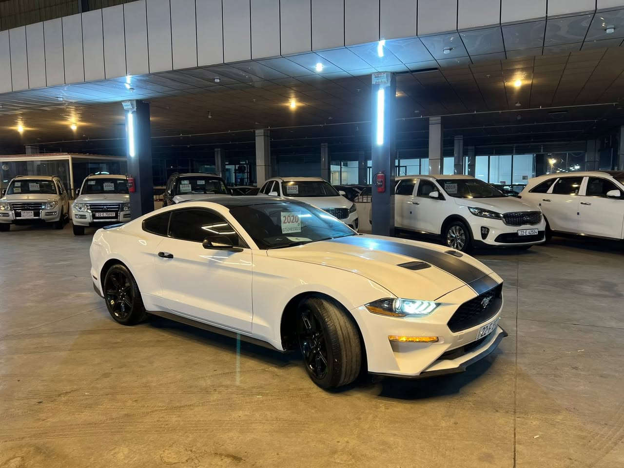 موستانج 2020 الاصدار الخمسيني بريميوم
ايكو بوست 
شفتات بالستيرن وتحكمات وكل الموصفات معروفة ما يحتاج اكتبهم وادوخكم …
السيارة مكفوله كير ومحرك وكشر مكفول من الشخط والزلغ السيارة تلمع لمع بالواقع .
حادث السيارة ببالتعليقات والسيارة بيها صبغ ب باب السايق شبرين وبالجاملغ السيارة جديدة حيل .
ماشية 100 ميل 
مكاني بابل 
رقمها اربيل جديد تريد تحويل تريد وكالة 
سعرها 157 
للتواصل ***********
