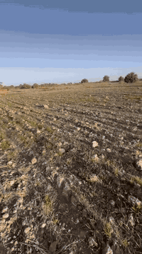 سلام عليكم شاطي للبيع مكان البوريشه متكون من بيت جاهز المساحه 15 دونم سند 25 للاستفسار ***********
