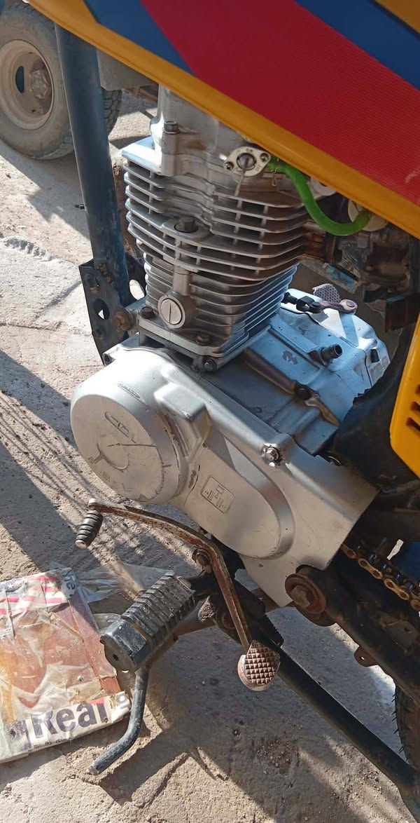 درجه نامه كلك مكينه نامه و شاصي نامه
الدرجه بيه ويل امامي جديد طك جيس و يل خلفي طك جيس و تخم تايرات طك جيس و تانكي و صفحيات و كشن جديد 

كلك كلك كلك كلك 

مراوس عادي اروس حسب القناعه السعر اب 300 و بيه مجال الشراي 

مكاني عفج ناحيت نفر و هاذا رقمي 

***********

 اليريده بي خير و يدلل
