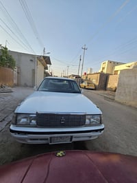 ارنب • ٢٠١٩ • بصرة المعقل