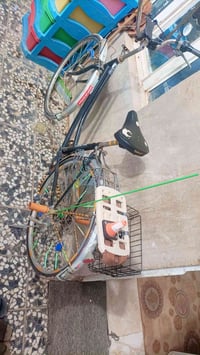 بايسكل • نجف • مرخصة