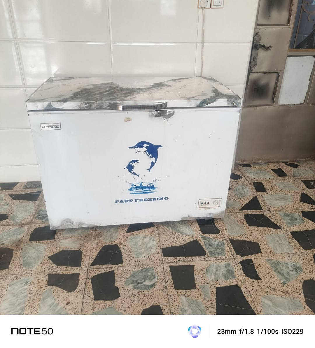 مجمدة شغالة حجم وسط البيع سعر ٨٠


**إذا كنت صاحب هذا الإعلان وتريد حذفه لأي سبب، رجاءا أرسل رسالة إلى الدعم الفني**