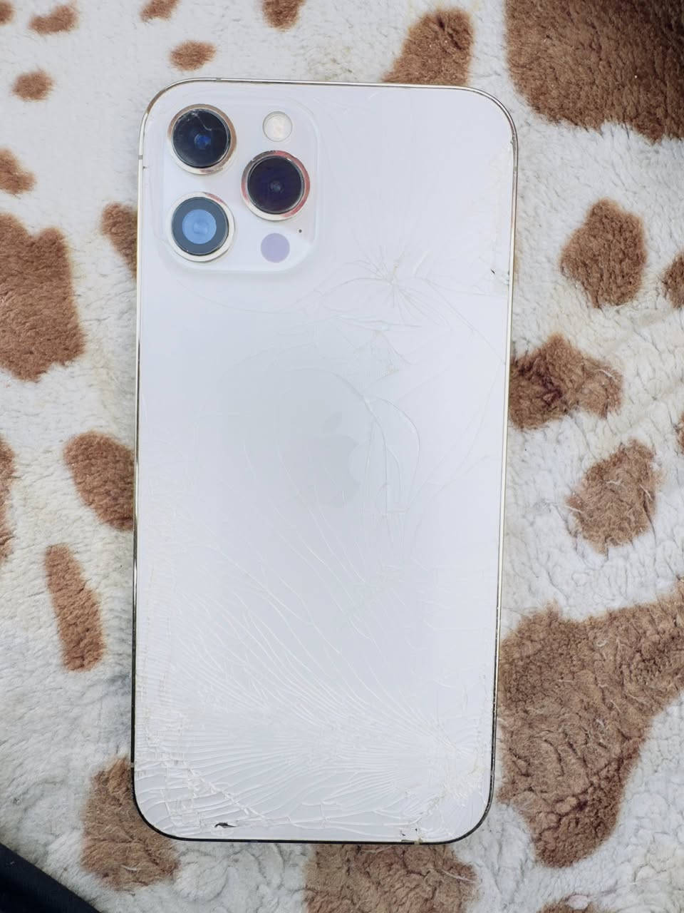 ايفون 12 برو ماكس للبيع
فقط الضهر مكسور

بطارية 76

ذاكرة 256 

السعر 400 بي مجال بسيط 

مكانيّ الديوانية الدغارة ***********
