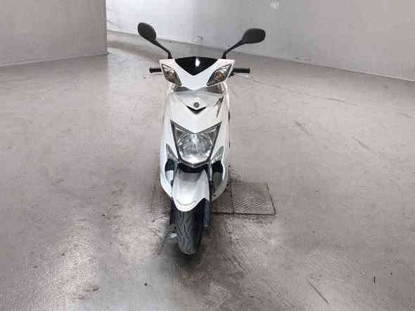 يا الله السلام عليكم 
تم وصول دراجات سكنس فحل وسكنس لد رمبه ياباني شرط وكاله مال مزاد بعدهن بوضع الشركه دراجات جدد ضمان كفر ومكينه لوانه متعدده 
بغداد الكريعات شارع المعارض ***********
