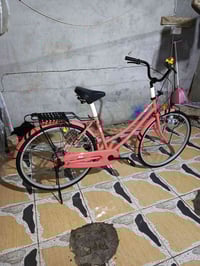 باسكل وردي • مقاس 26 • ياباني