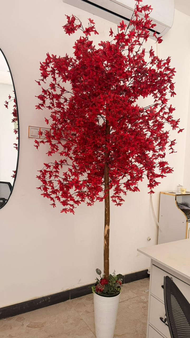 السلام عليكم غراض للبيع


**إذا كنت صاحب هذا الإعلان وتريد حذفه لأي سبب، رجاءا أرسل رسالة إلى الدعم الفني**