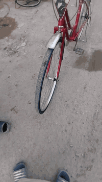 السلام عليكم بايسكل للبيع السعر 80 وبي مجال المكان بغداد الامين الثانيه الرقم واتساب فقط اتصل وبيك خير وتدلل***********
