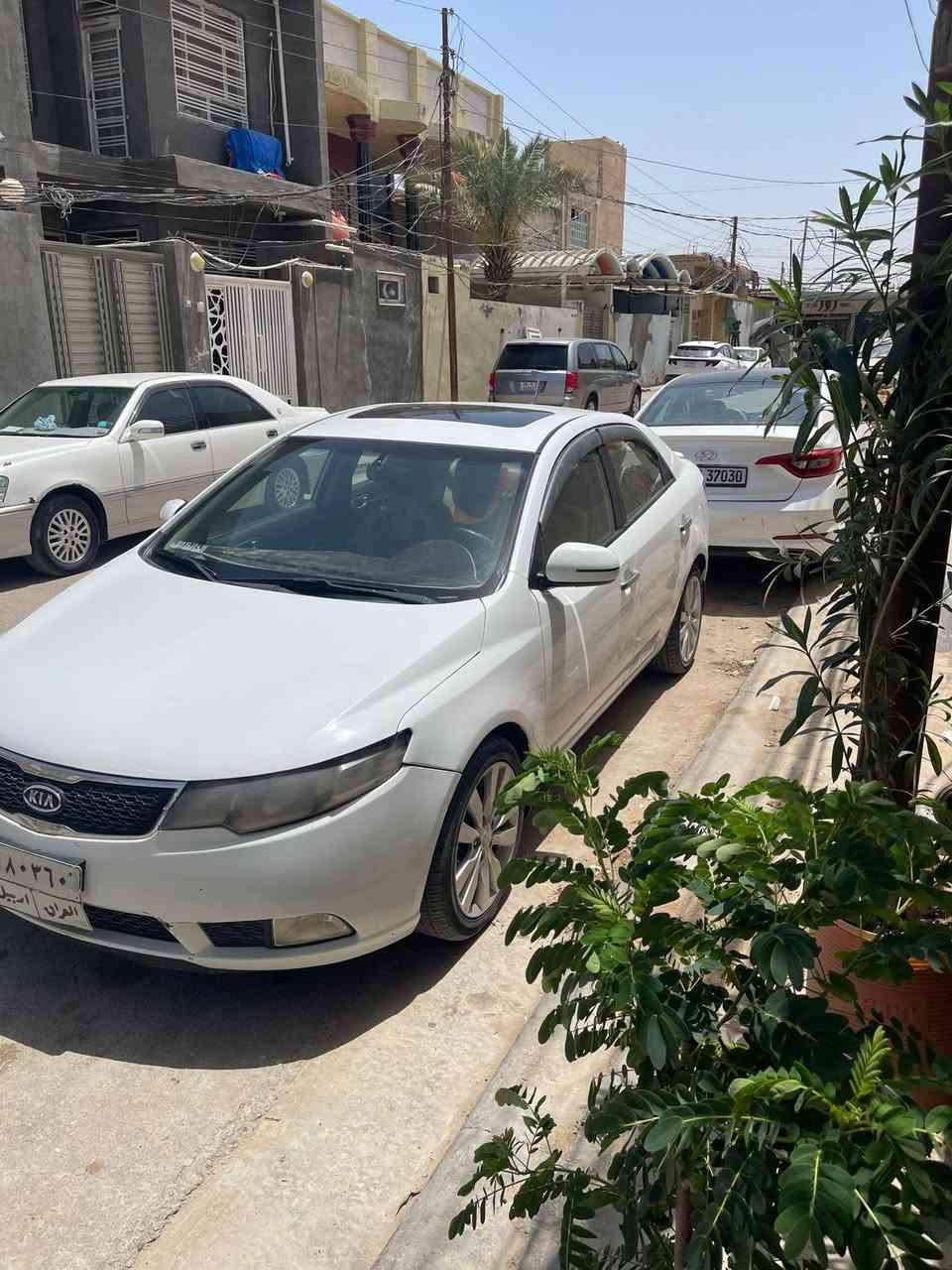 السلام عليكم سيراتو موديل 2011 فتحه تحكم ستيرن شفتات رياضي 1600 رقم اربيل قديم مكفوله من الدواخل والشاصي بيهه ٣اماكن صبغ فقط والباقي من حداديه جديده تبريد شغال ثلج تجي تفحص أو تقتنع مكاني نجف للاستفسار *********** السعر 95
