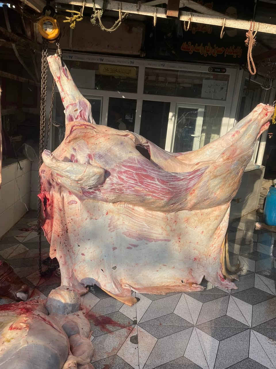 تعلن قصابة علي عادل الجبوري 
عن بيع الحوم عجل شرح او بلعظم وغنم وتجهيز كافة المناسبات ذبح كل يوم اب يومه درجه اولى 
زورونا ليست الوحيدون لكن الأفضل 
في سوق مجمع حطين 
للتواصل
***********
يم علي الجبوري
