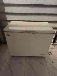 مجمدة رويال • أربيل • كوردستان ستي