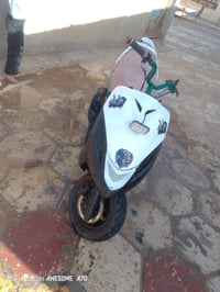 درجه • بيه مجال • سيد خيل