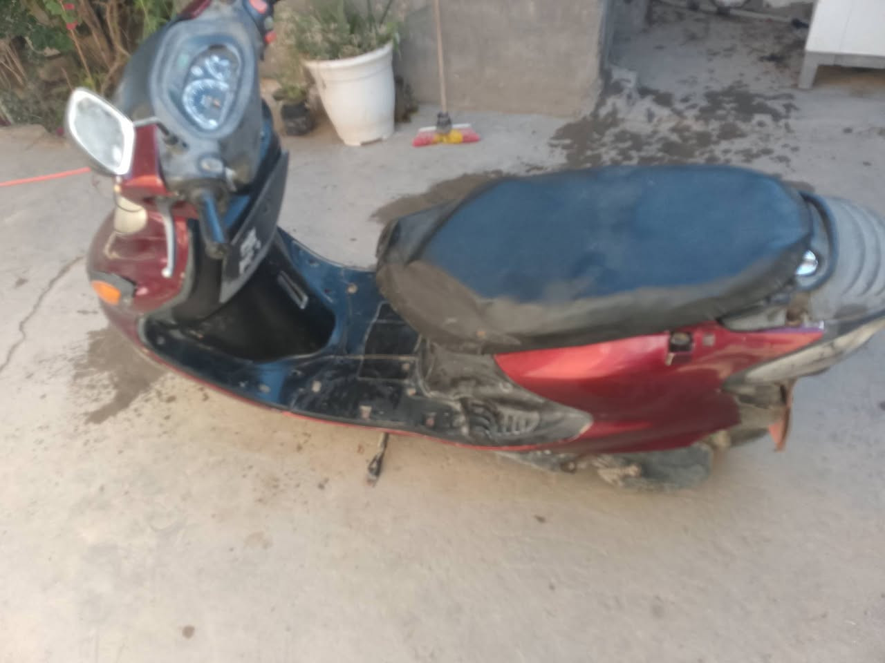 دراجه البيع دولفين  السعر خاص ***********
