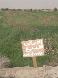 ارض زراعية • الموفقية • للبيع