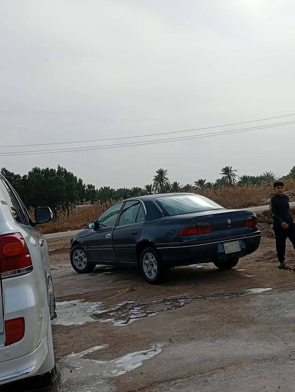 ***********السلام عليكم ابل بزون تخم تير حدادي مكين ونجي سنوي 2027تحويل مباشر مكان واسط الكوت سعر 27وبيه مجال تريك وين ما يعجبك  رقم واسط  سياره جهز وهذا رقم صاحبه مكلف بل نشر
