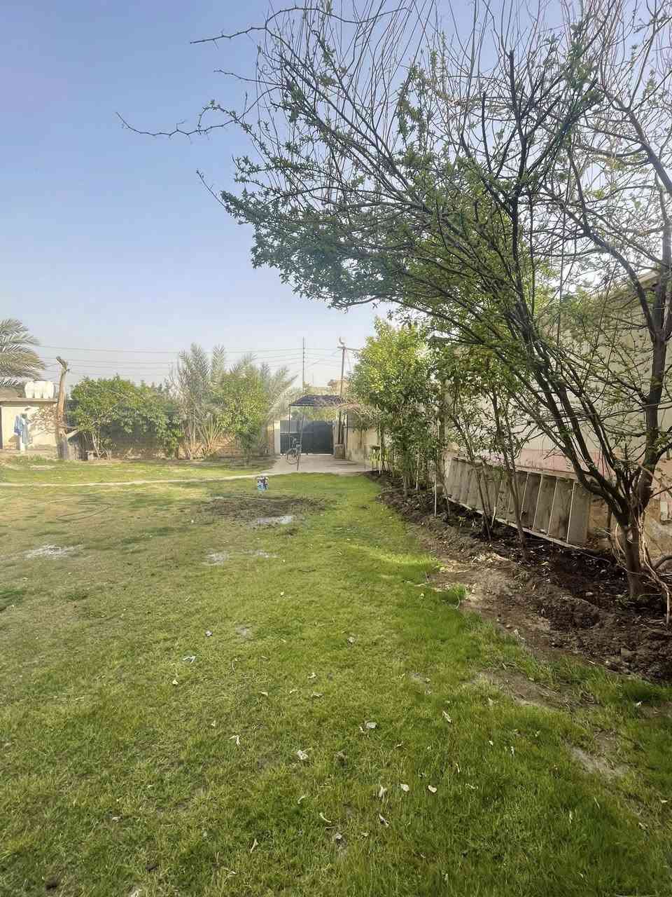 السلام عليكم بيت بناء حديث كامل للبيع المساحة
الكلية 650م الحديقة 350م ومساحة البيت 300

البيع حسب رغبة المشتري يريد البيت مع الحديقة او فقط البيت المكان حلة المعميرة 

تفاصيل

 ***********
