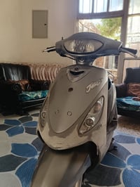 دراجة مكس منغولي • مكفولة • الدوانية