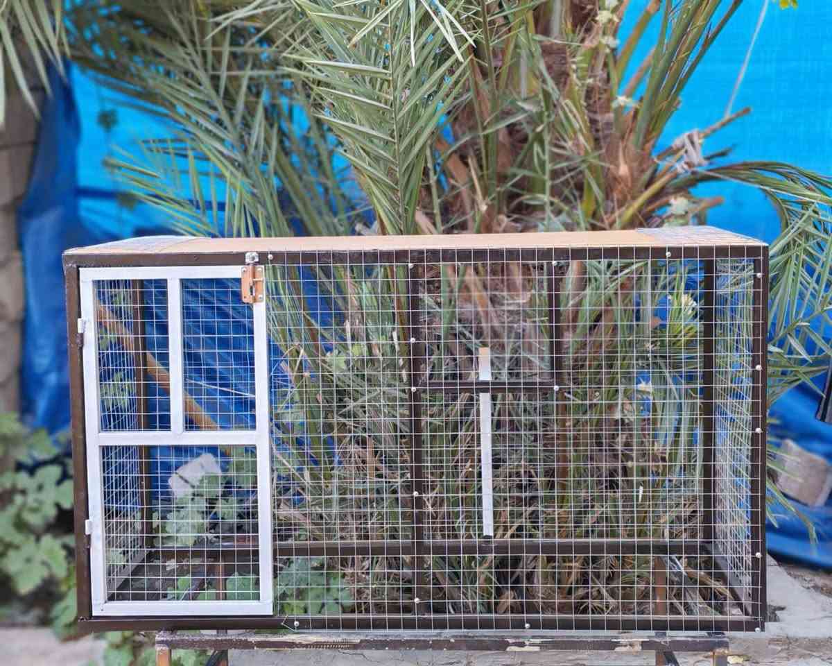 السلام عليكم برج حديد جديد ... الواجهيه 145س الارتفاع 80س النزال 60س ... السعر 65الف فقط ***********
