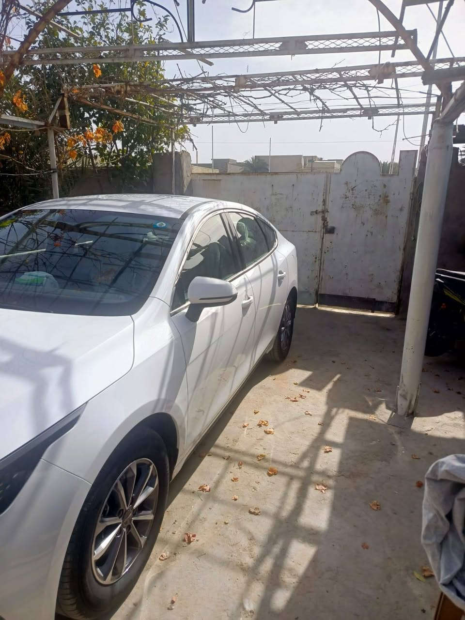 BYD 2025 دسترويل ماشية ٨٠٠ زيرو وضع الشركه سعر ١٩ مليون
***********
