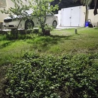 طابو صرف • ٣٠٠م ركن • الدخل المحدود الثانية