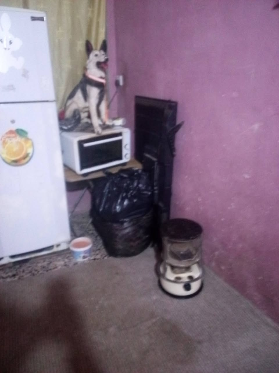 اخوان غراض بيت البيع كيزر جديد دبت غاز هيتر صوبة اوفن ميز طعام وين شراي العنوان جسر  رقم الهاتف *********** بيعهن كلهن
