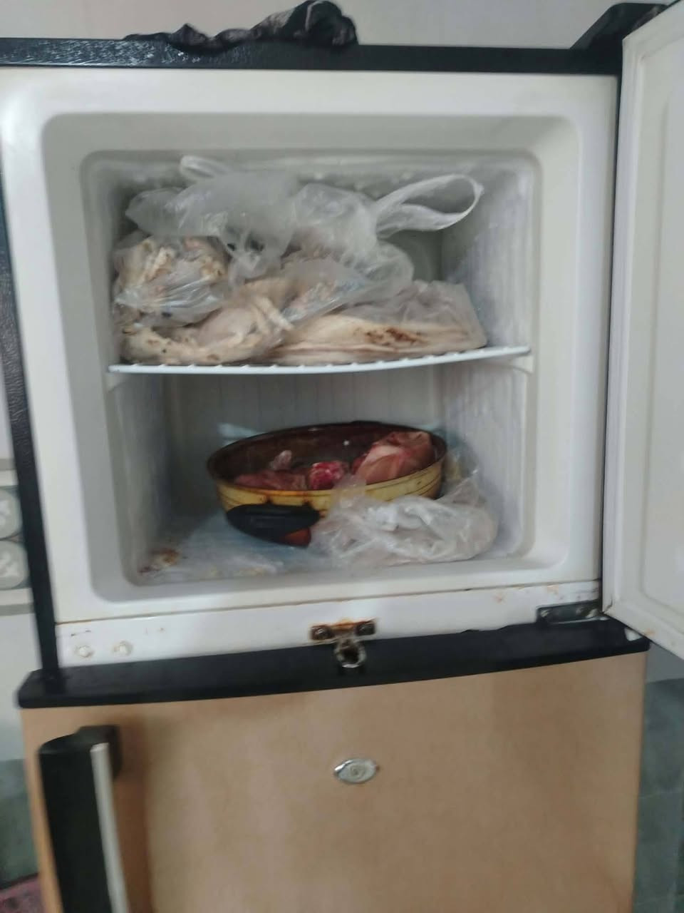 الثلاجه اريدهه 130 شرط التجميد عنوان حي صدام


**إذا كنت صاحب هذا الإعلان وتريد حذفه لأي سبب، رجاءا أرسل رسالة إلى الدعم الفني**