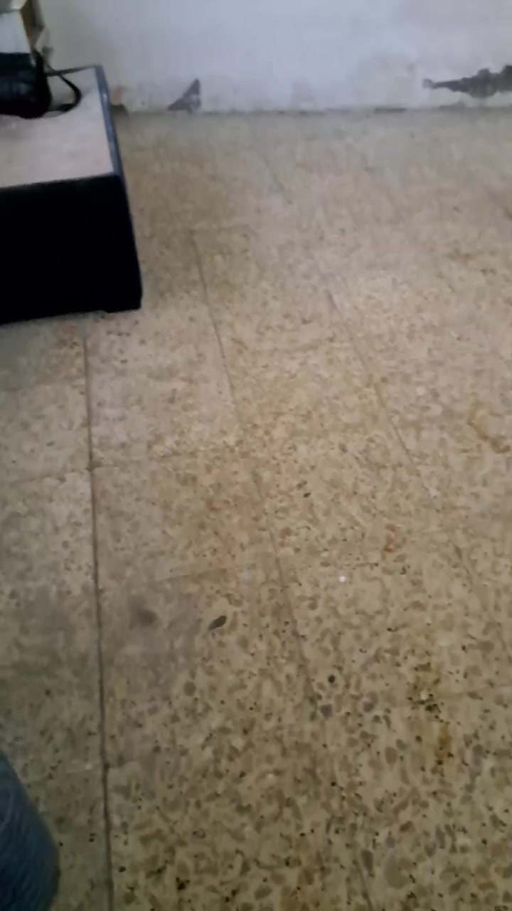 مشتمل للبيع ركن ٣٠ متر عكاده مسلح الواجهه ٧ ونص العنوان الاعظميه بضهر الجامعه العراقيه قرب نافوره المقبره الملك الاستفسار الرقم صاحبه البيت ***********
