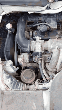 كيه جنبي • موديل 14 • أوراق كاملة