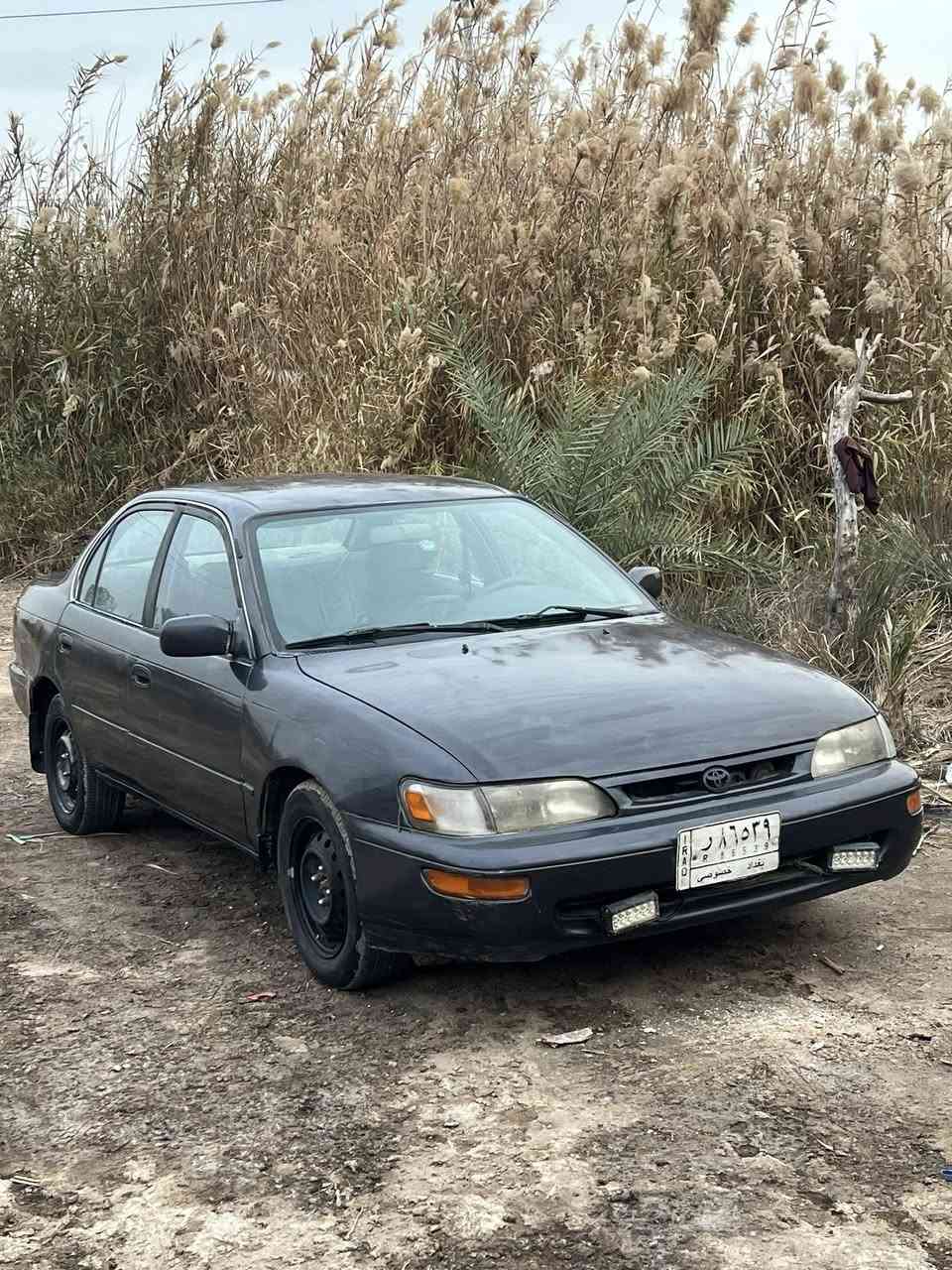 سلام عليكم
بيع او مراوس
كورلا موديل 94 رقم بغداد مشروع وطني سنوية لشهر8 مكفولة گص ونقل وضربة قوية وعيب شرعي. گير ومكينة مكفولات عالشرط. دشبول جديد. باتري جديد كهربائيات شغالة حدادية 70‎%‎ 
السعر 39 وبيها مجال قليل كلش 
مكاني ديوانية/مهناوية ***********
