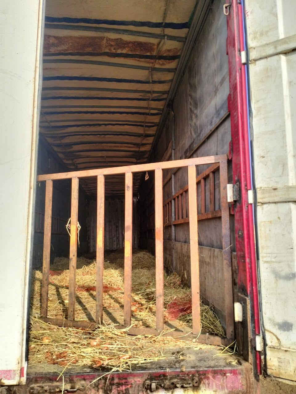 شاصي كرون تخم تاير مكان ناصرية ***********
