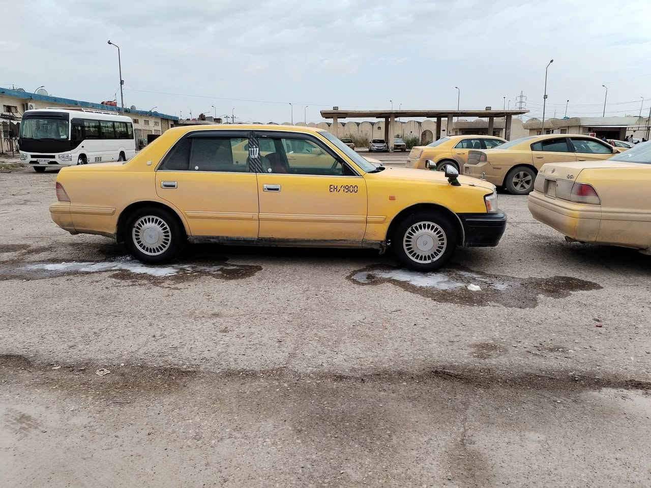 راس الثور تكم كفاله عامه لسعر 70 وبيه مجال لشراي للاستفسار ***********
