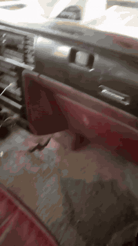 اسلام وعليكم دوج كلايزر البيع رقم دولي جديد وسنويه نافذه 2030باسمي تحويل ثاني يوم المكان بغداد 30وبيه مجال الون داخل ماروني المرغوب الي يحب يتواصل وياي ***********
