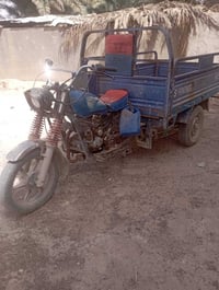 فحل جمره للبيع ستوته نضيفه جناي يرتب محركه صح مفتوح مجفت مصاله شهر ستو...
