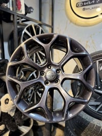 ويل كب أمريكي أصلي 🇺🇸 حجم 20 يرهم،  اوباما جارجر دوج مكفول من عواج ولح...