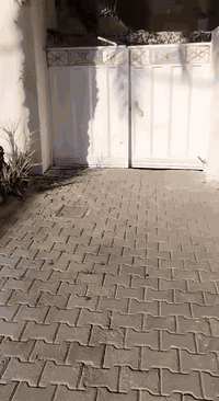 ياالله اللهم صلي على محمد وأل محمد
بيت للبيع 200متر بناء قديم صالح للسكن او بياع كقطعه
العنوان حي الحر ثالث شارع عن السوك  ثاني بيت بلشارع بصف الركن  السعر 300وبي مجال للأستفسار الأتصال على الرقم ***********
