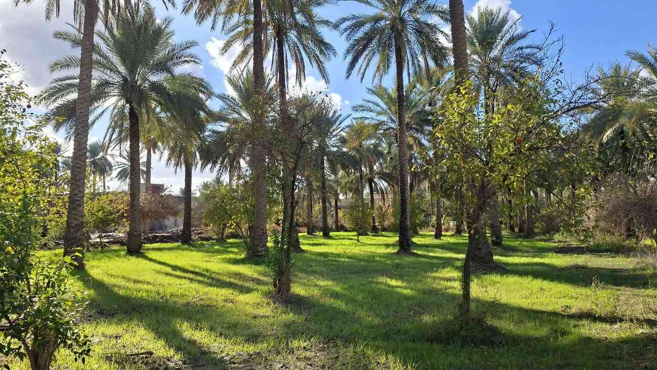 سلام عليكم
***********
للبيع 2000 متر طابو زراعي عقد 25 
المكان كربلاء المقدسه شارع مطبخ العتبه شارع بغداد كربلاء عامود 52 تبعد عن شارع بغداد 1500 متر تقريبن
