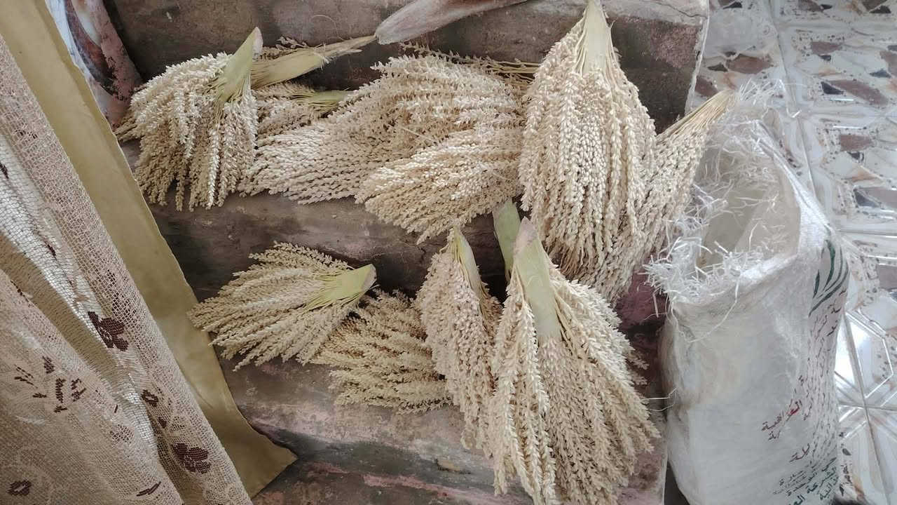 لكوح لبيع لعدد 20شرط مكانك لسماوه سوير


**إذا كنت صاحب هذا الإعلان وتريد حذفه لأي سبب، رجاءا أرسل رسالة إلى الدعم الفني**